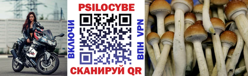 MEGA ССЫЛКА  Чусовой  Псилоцибиновые грибы мухоморы  купить  