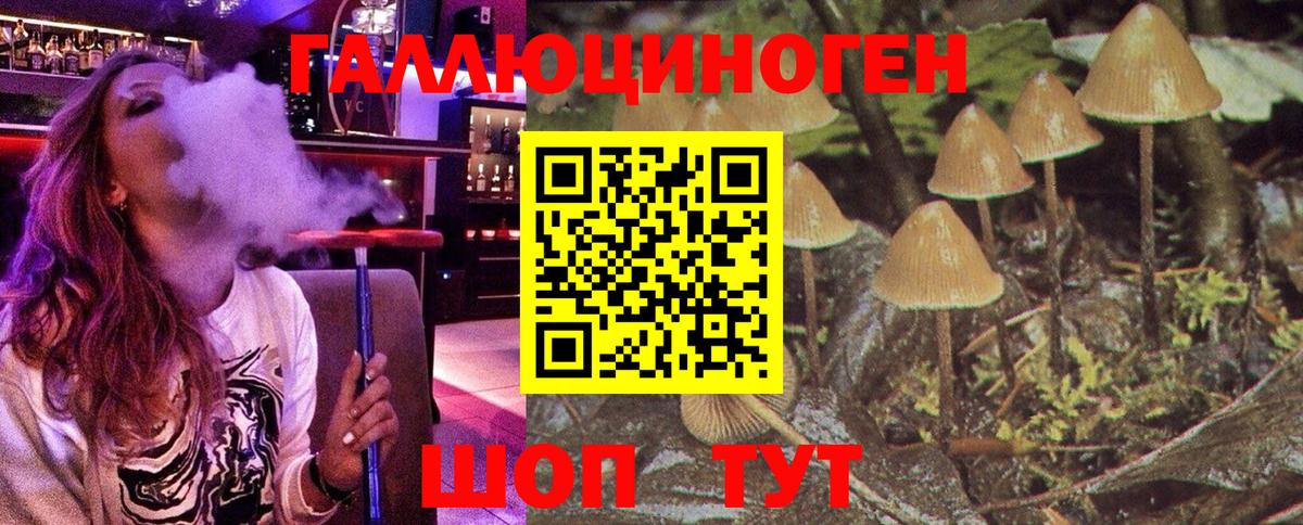 Галлюциногенные грибы GOLDEN TEACHER  Чусовой 